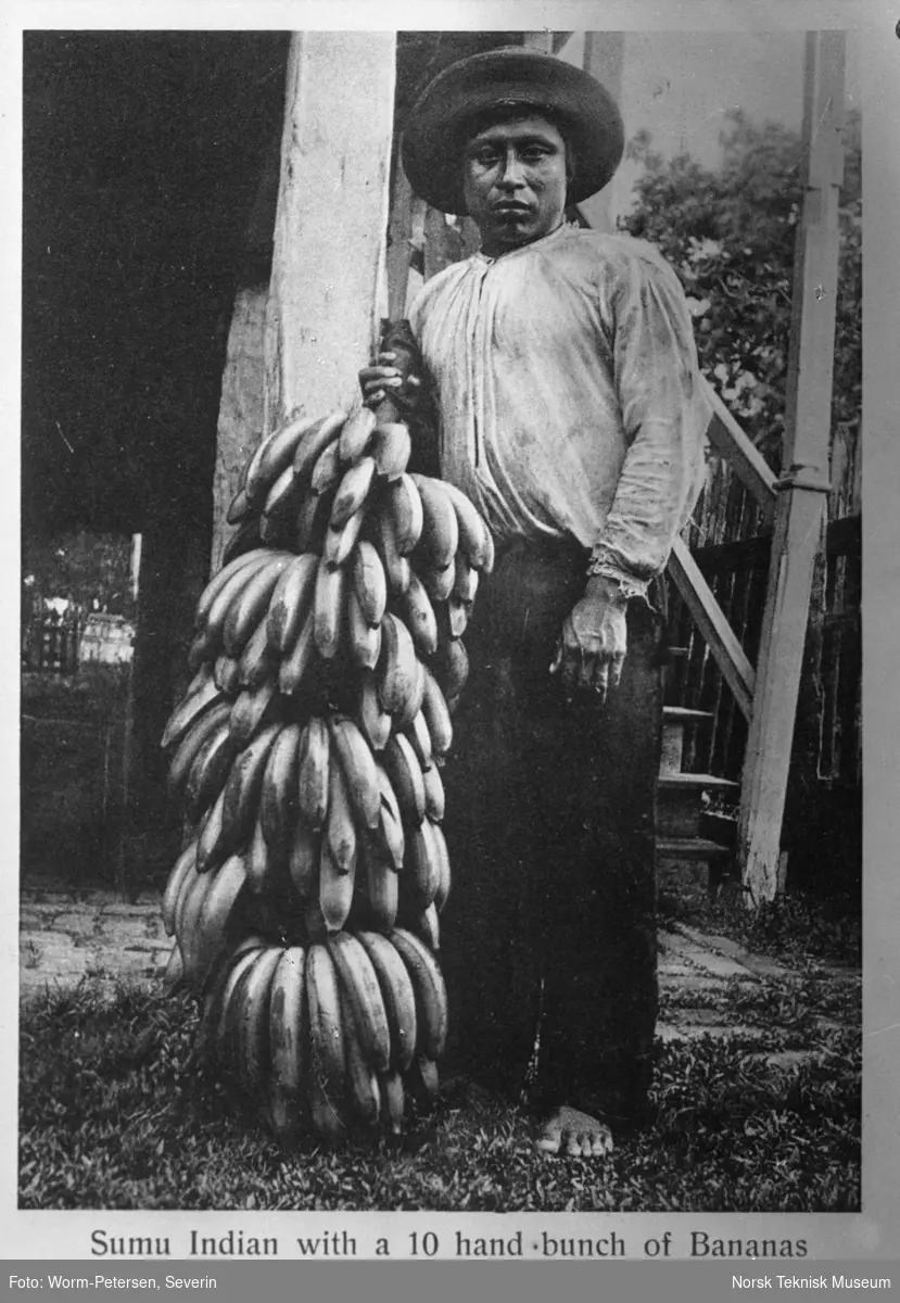 Indianer med bananklase, Nicaragua