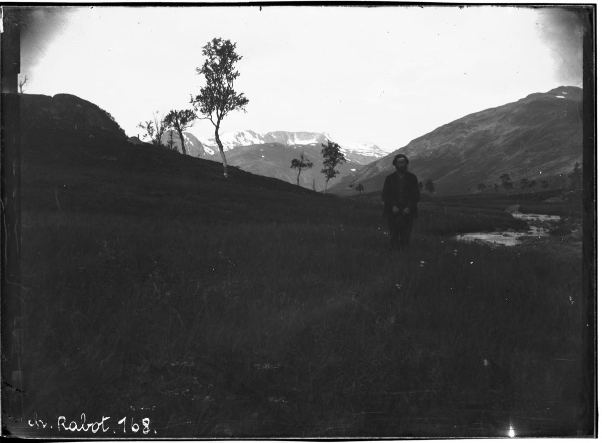 Vegetasjonsgrensen mellom Alteidet og Jøkelfjord, 1881?