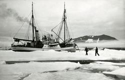 Grønlandsekspedisjon med M/S Polarbjørn i 1939. Skipet ligge