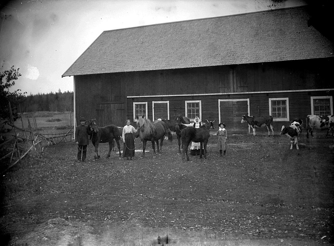 Ladugård, fyra personer, hästar och kor.