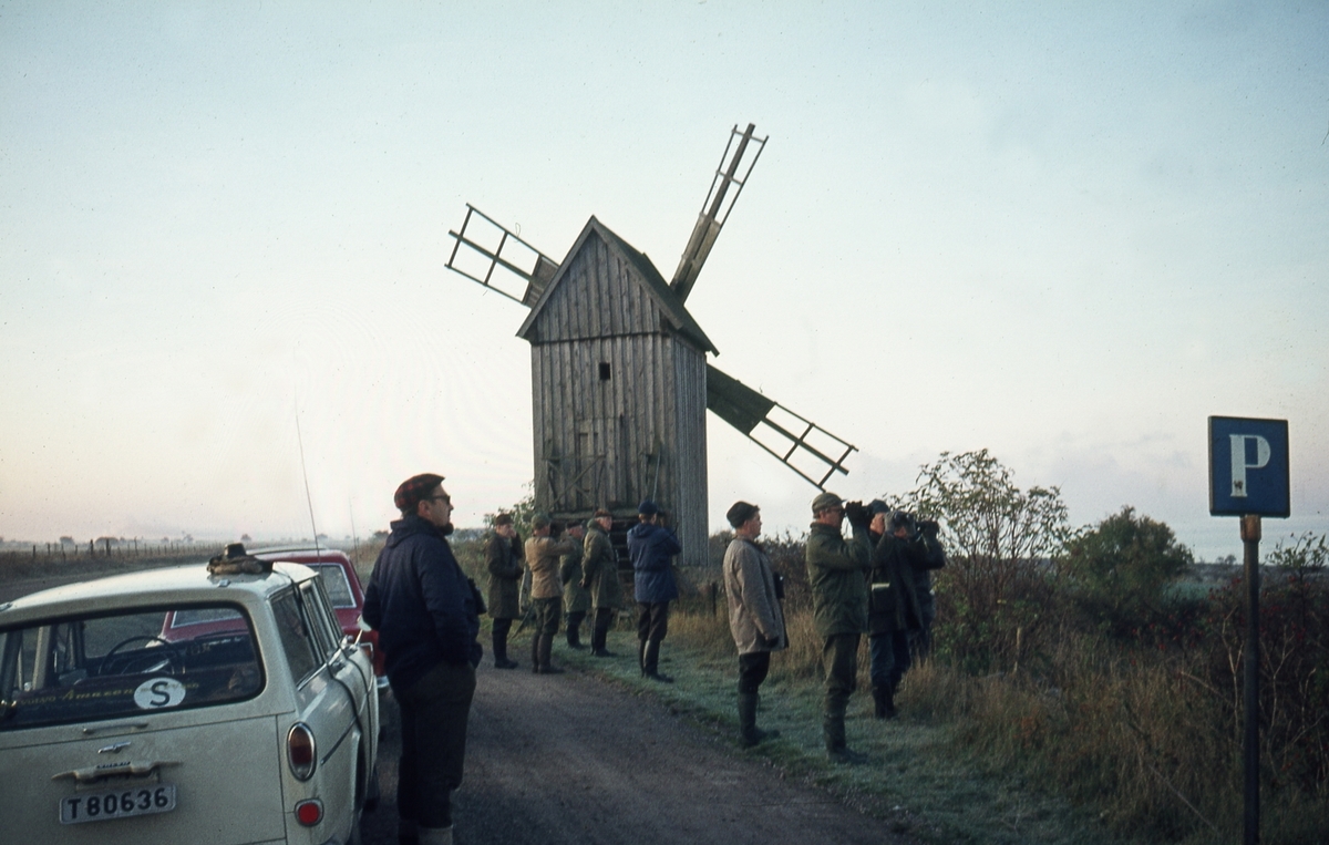 Öland, 1968.