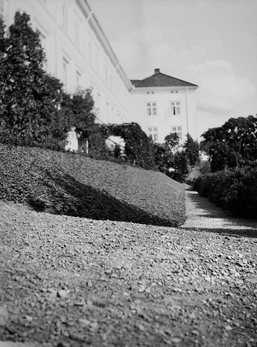 Grusgang med lave hekker og beplantning parallelt med langsiden av hovedhuset på Linderud gård. Her sees også husfasaden og hagetrær.