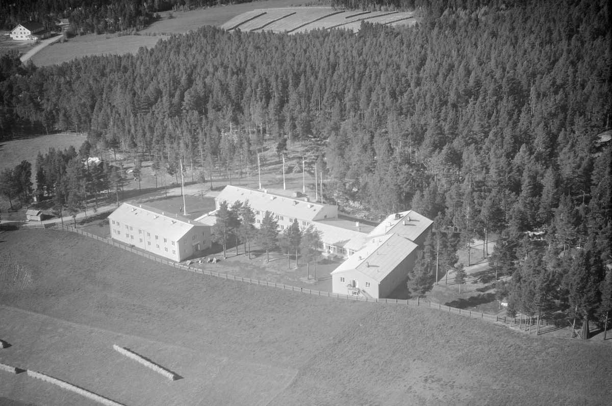 Dovrefjell Hotel, Dombås, Dovre, 15.09.1953, jordbruk, hesjing, barskog