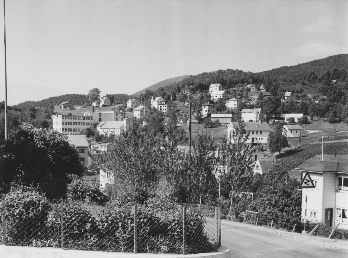 Prospektfotografi av bebyggelsen i Mauseidvågen med Lundalfabrikken.