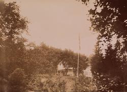 Vi skimter et hus bak trærne i en hage.