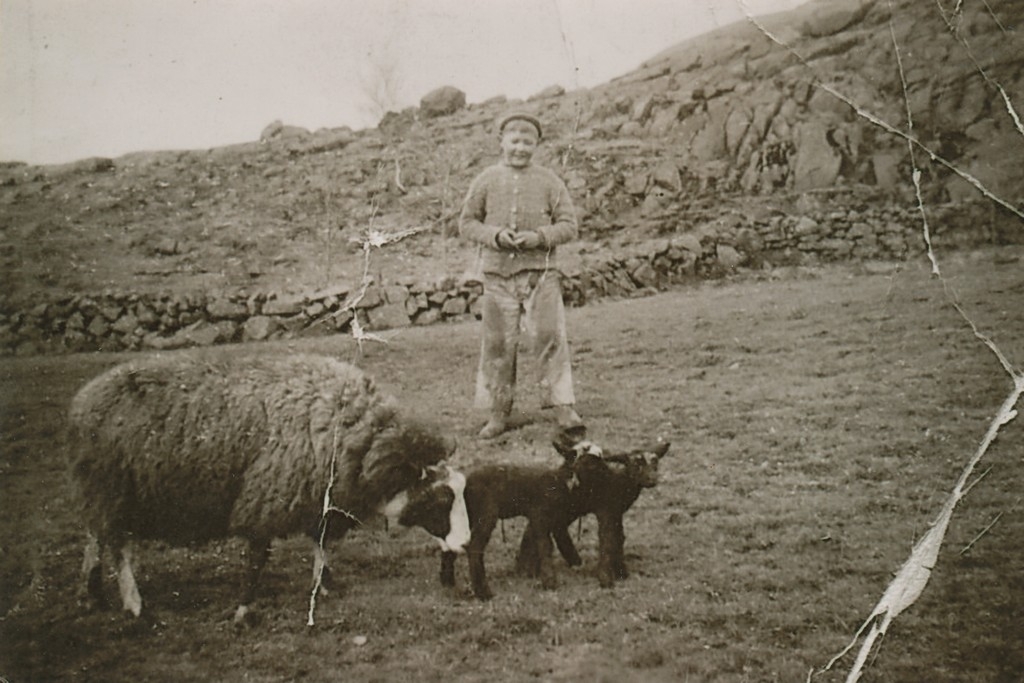 Sigurd Reidar (1947 - ) med den første sauen sauen sin heima på Sikvaland, ein stolt saueeigar på 7 år.