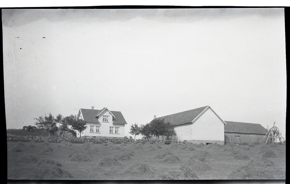 Husa på Netland bruk 1 sommaren 1919. Såter i framgrunnen.