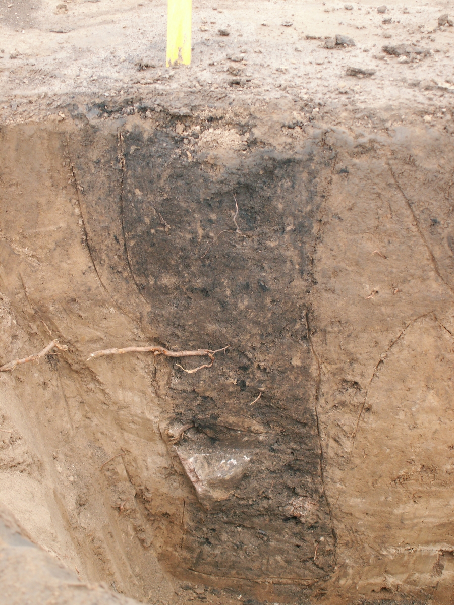 Arkeologisk slutundersökning, Raä 433, A5653 nedgrävning, A7763 nedgrävning och A7772 nedgrävning, Fansta, Bälinge socken, Uppland, 2006