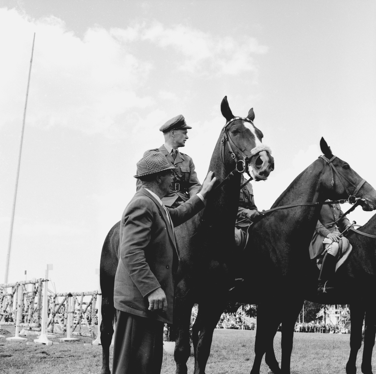 Hästar på Rila (numera Elmia) den 31 maj.