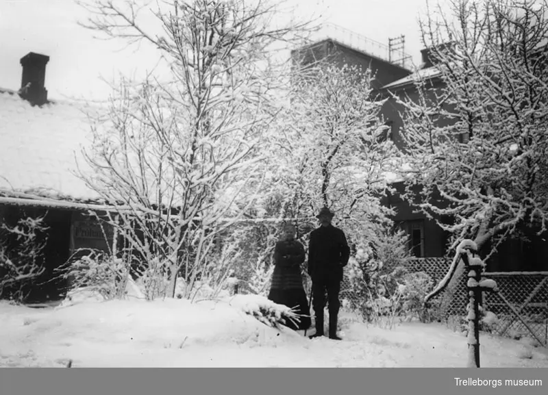 Vinter 1923 negativ 4503 Johnsson Palmgrens trädgård.