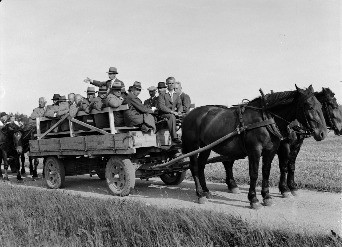 "Bättre rödklöverstammar - bort med ogräset, motto på Ultunakurs" - kursdeltagare åker hästdragen gummihjulsvagn, Lantbrukshögskolan, Ultuna, Uppsala juli 1942