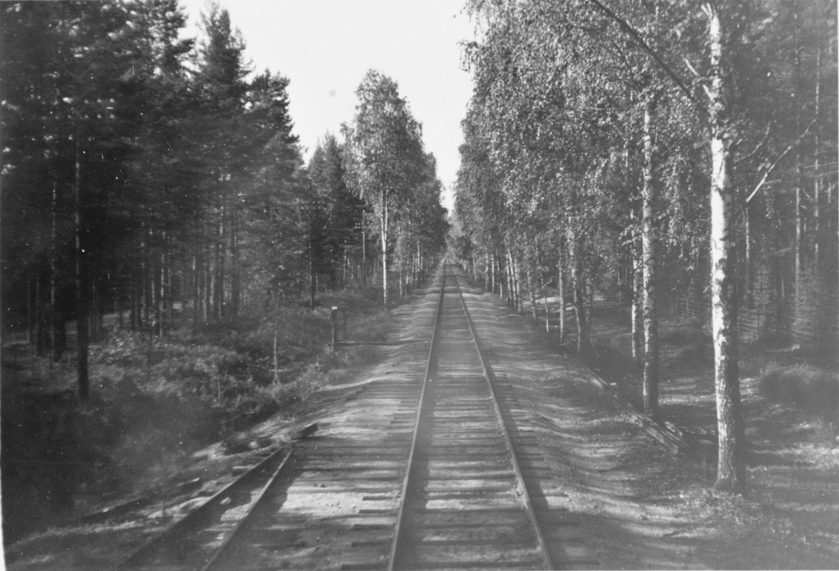 Utsikt fra bakerste vogn i A/L Hølandsbanens veterantog underveis fra Krøderen til Vikersund.