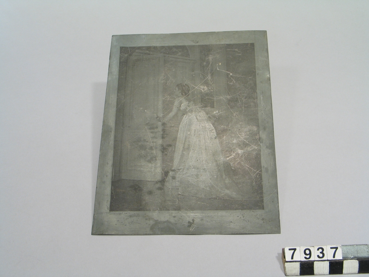 Zinkplat, kliché, med överförd bild för tryckning av linjeautotypi, enligt C.G.V. Carlemans metod. Format: 147 x 201 mm. Bildyta: 124 x 165 mm.
