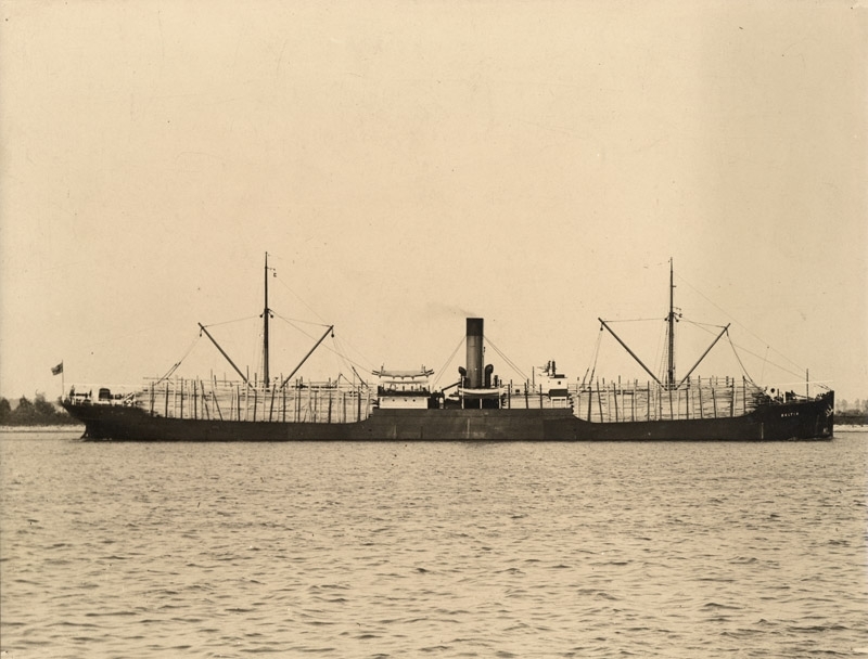 Baltia, lastad med timmer, 3800 tons d.w. Rederiaktiebolaget Gothia i Trelleborg (1923-1936) inköpt 1926 såld 1935, 16583.