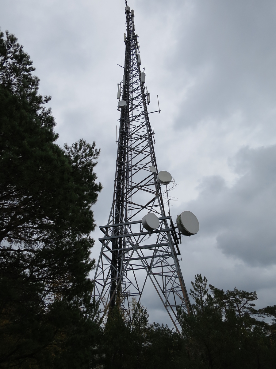 Randvikheia radiolinjemast ved Risør, er 59 meter. Det var en radiolinjestasjon på linjen mellom Oslo og Kristiansand over Fredrikstad, et smalbåndsanlegg på UHF-basis med båndbredde tilsvarende 60 telefonkanaler. Radiolinjen ble brukt til teletrafikk. Masten fikk TV-sender som ble satt i drift 3. oktober 1997.