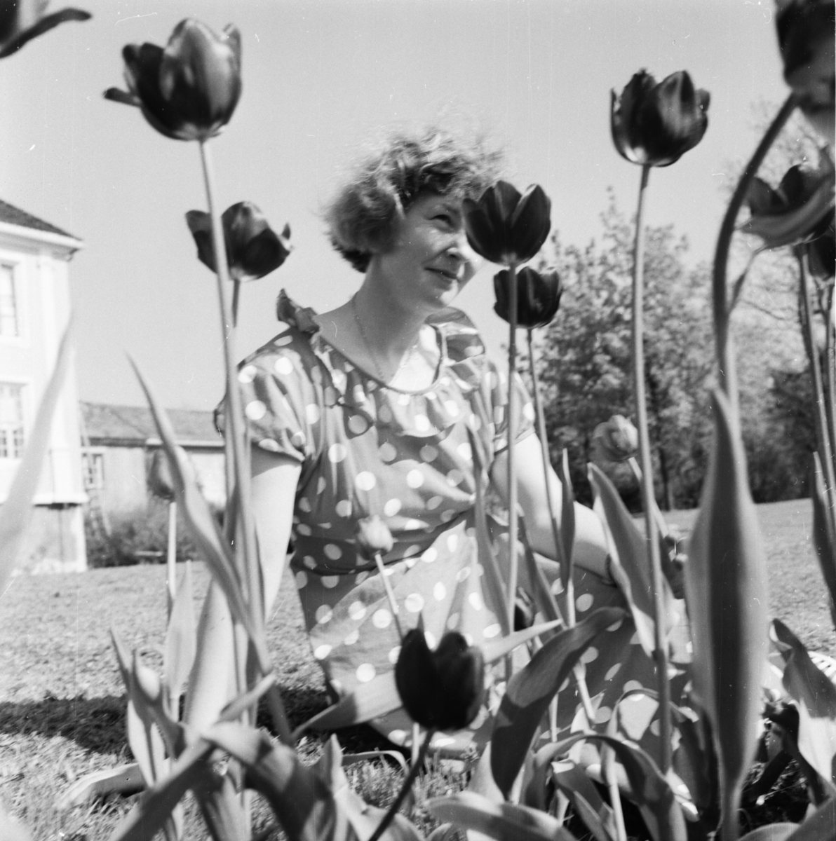 Vardens arkiv. "Anne Matti Hagen i Brekkeparken" 25.05.1954. Fotograf Haakon Mollestad (1919-1996) er fotografen.