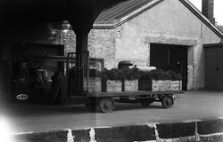 Godstralle på Oslo Ø