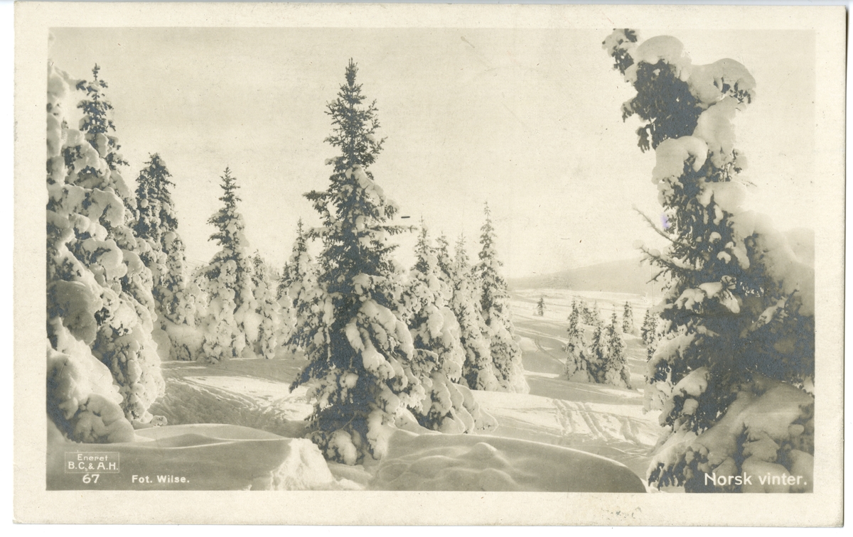 Postkort. Vinterlandskap med snø og skog.