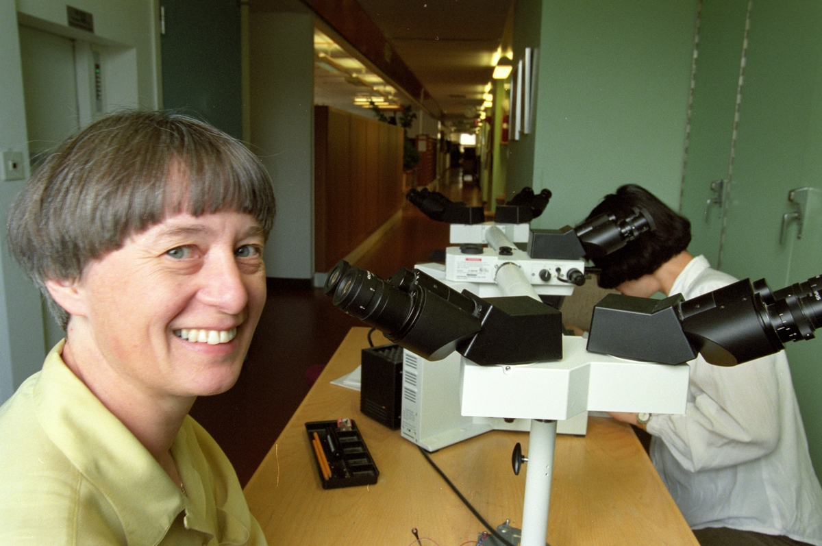 Pionjärer - Monica Nistér (tumörbiolog vid patologen) och gästforskaren Xiaoqun Zhang studerar ett snitt från en mus, blå färg gör att de kan se var en inplanterad styrgen är aktiv, Akademiska sjukhuset, Uppsala 1997