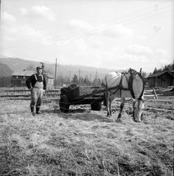Mann på jorde med hest og kjerre.