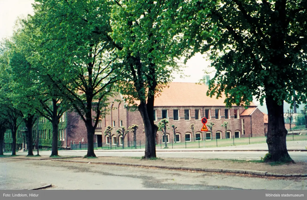 Alléen och Kvarnbyskolan sedda från Trädgårdsgatan, nuvarande Störtfjällsgatan. Mölndal, 1970-tal.

För mer information om bilden se under tilläggsinformation.