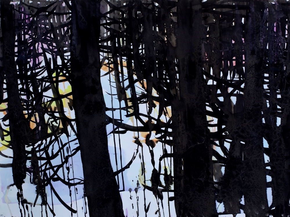 Bildet viser en granskog om vinteren der farget lys treffer snøen og de sorte trærne danner skarpe siluetter i motlys.