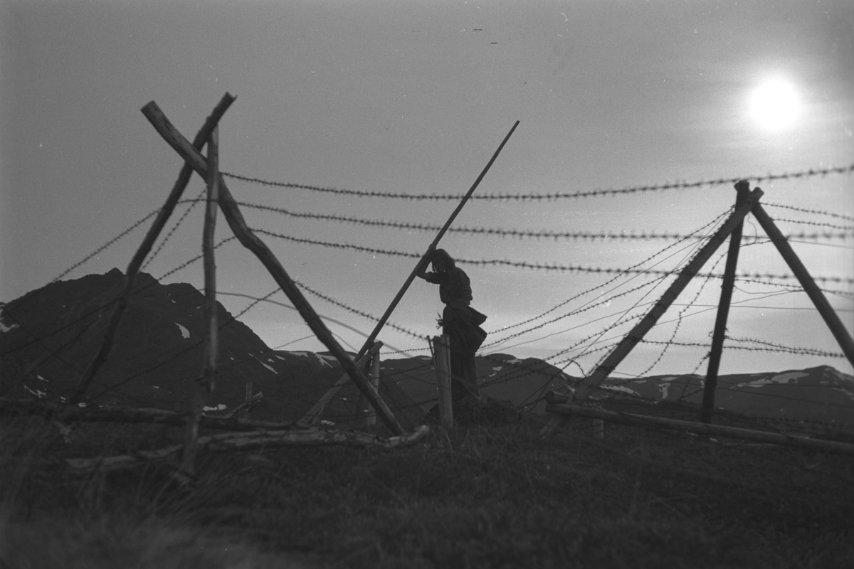 Gjenreisning. Silhuett av Solveig Hanche-Olsen med en lang stokk i hendene. Bildet antas å ble tatt ved minefeltene på Nordmannset. 1946/47.