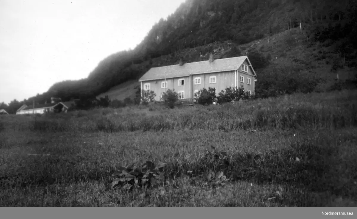 Brøskegården i Stangvik. Nerstua nærmest, med Oppistua i bakgrunnen.  På gården ser vi et våninghus med stående paneling. Bildet er datert oktober 1951. Nordmøre Museum