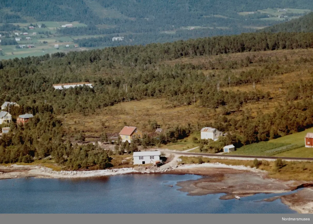 Flyfoto fra Nybø på Tingvoll. Bildet er datert 30. juli 1963, og fotograf er Widerøe's Flyveselskap a/s. Fra Nordmøre Museums fotosamlinger. /Reg:EFR2013/



