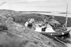 (Fra Nordmøre museum si fotosamling) serie - Aftenposten på 