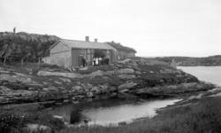 Foto fra et sjøbruk med våningshus og sjøhus ute på en fjell