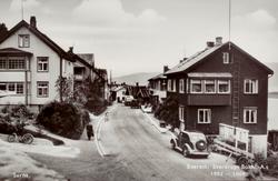 Postkort ";1009"; med motiv fra Surna i Surnadal kommune. He