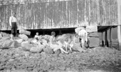 Foto av en gruppe mennesker, barn og barnebarn av Georg Sver