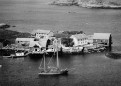 Serie. Foto trolig fra fiskeværet og øysamfunnet Håholmen i 