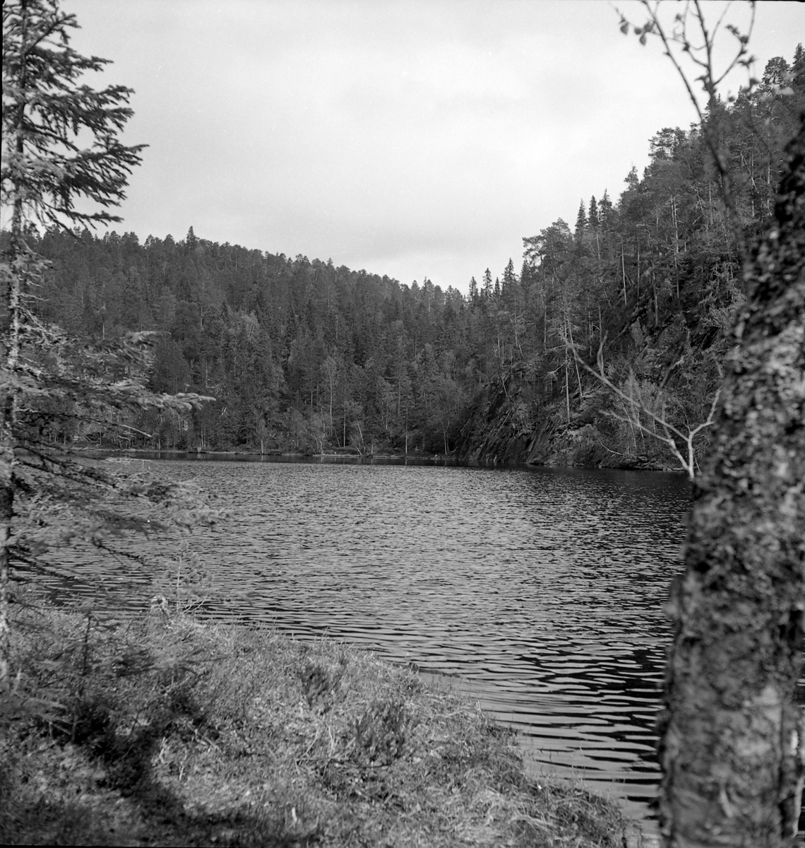 Nygårdsvollen ved Hommelvik