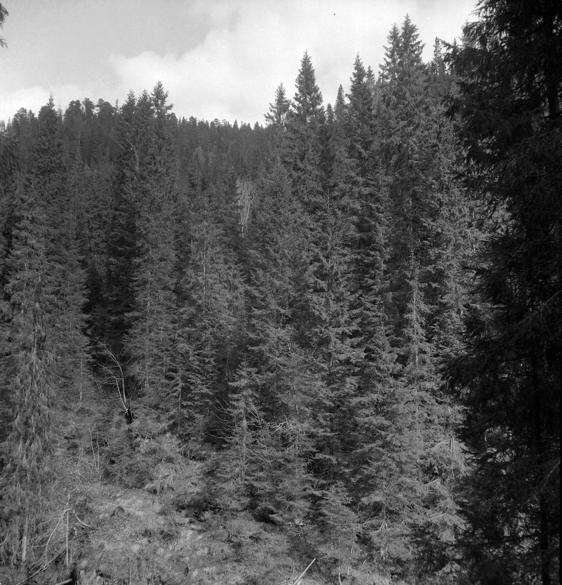 Nygårdsvollen ved Hommelvik