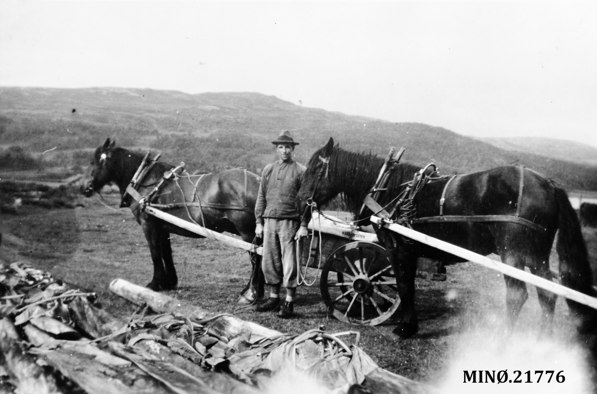 Johan Hanssen Strømsøyen med to hester med vogn