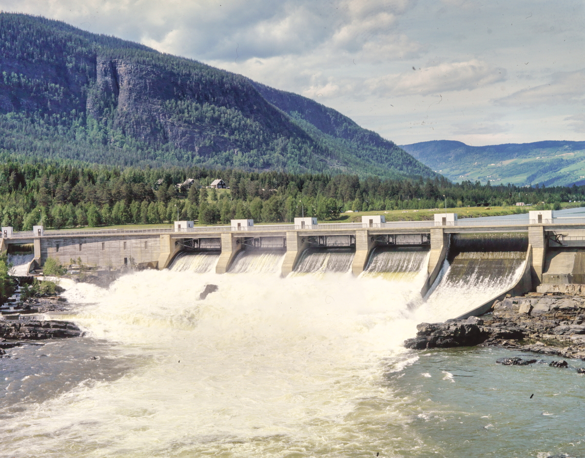 Group no. 56-10-05-00 Picture no. 106112..damanlegg .Holsvannet