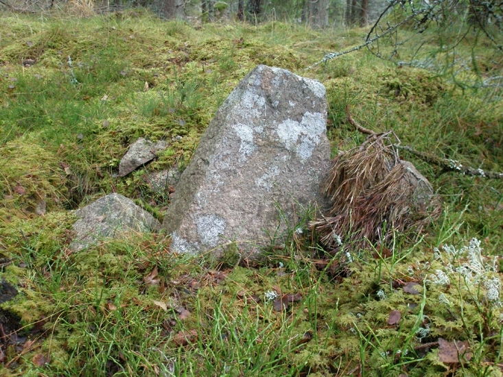 Foto av gränsmarkering, bestående av 3 stenar i rad, vilka markerar gräns mellan Ekeberga och Lenhovda sn.         
Raä 156 a, 2010-11-16, reg i FMIS