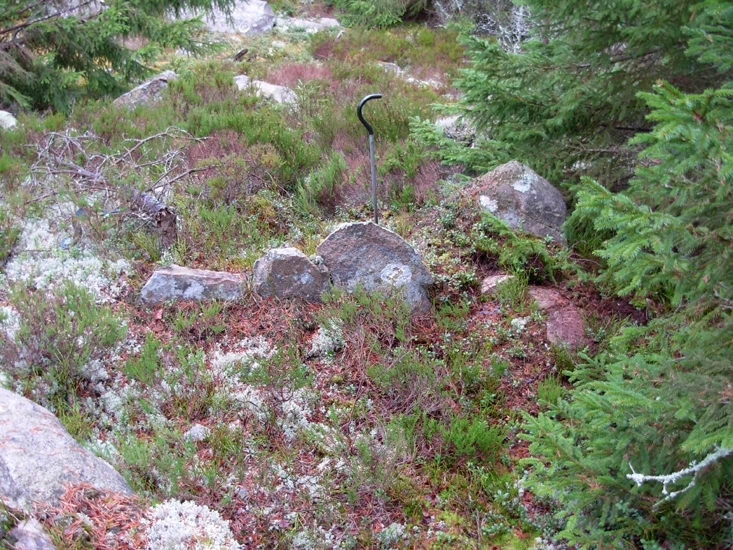 Vettare
Foto av gränsmärke, s.k. vettare, bestående av 5 stenar, 2 av stenarna  är kullfallna.
Raä 206 b, 2010-11-17