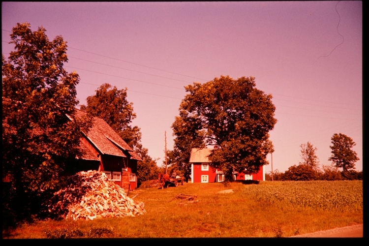 En gård i Linneryd, 1956.