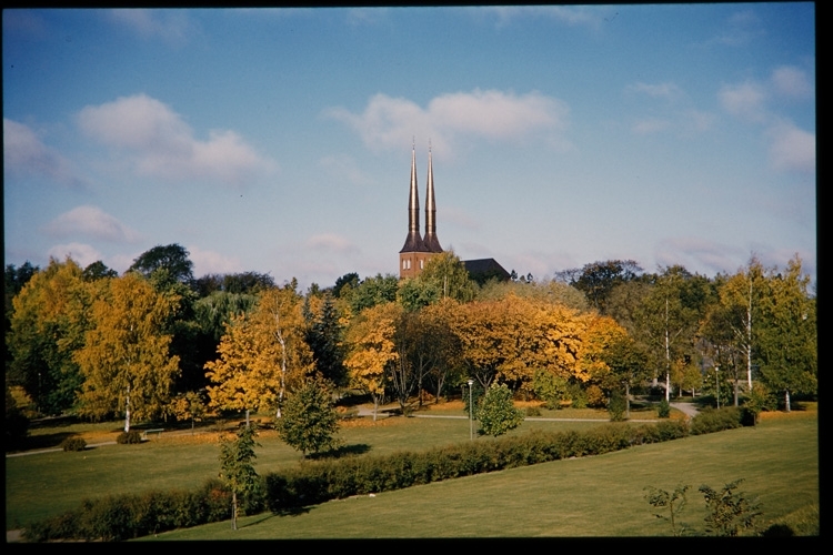 Linnéparken och domkyrkan, 1959.