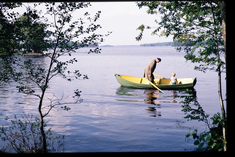 Eka på Helgasjön. Växjö, 1970. - Kulturparken Småland / Smålands museum ...