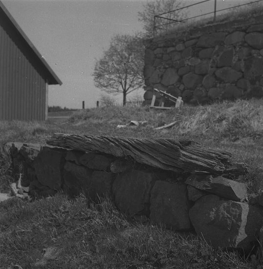 Den gamla spöpålen vid Tjureda tingshus. 1947.