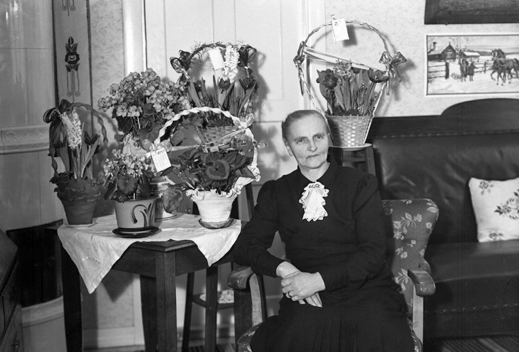 Foto av en sittande äldre kvinna, omgiven av blomsterkorgar m.m. i ett vardagsrum. 
Fru Ida Sofia Johannisson, f. Svensdotter (1876-1954), änka efter hemmansägare Anders Johan Johanisson (1868-1931), Sköldstad.
Källa: Församlingsbok, Kvenneberga 1936-1944. Sveriges Dödbok 1901-2009.