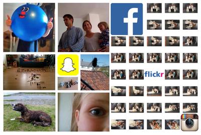 Collage, forside rapport om innsamling digitalt fødte foto. Foto/Photo