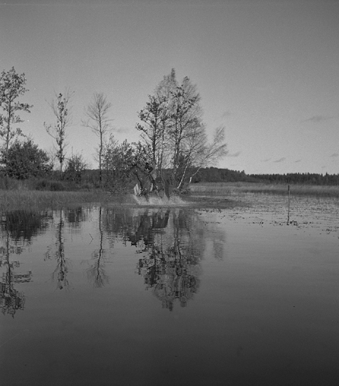 Ridtävling, 5/10 1947. 
Genväg över en grund göl.