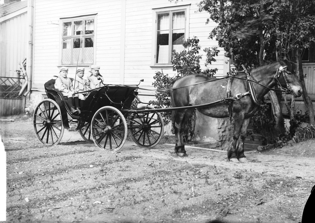 Häst som drar en vagn med tre pojkar




