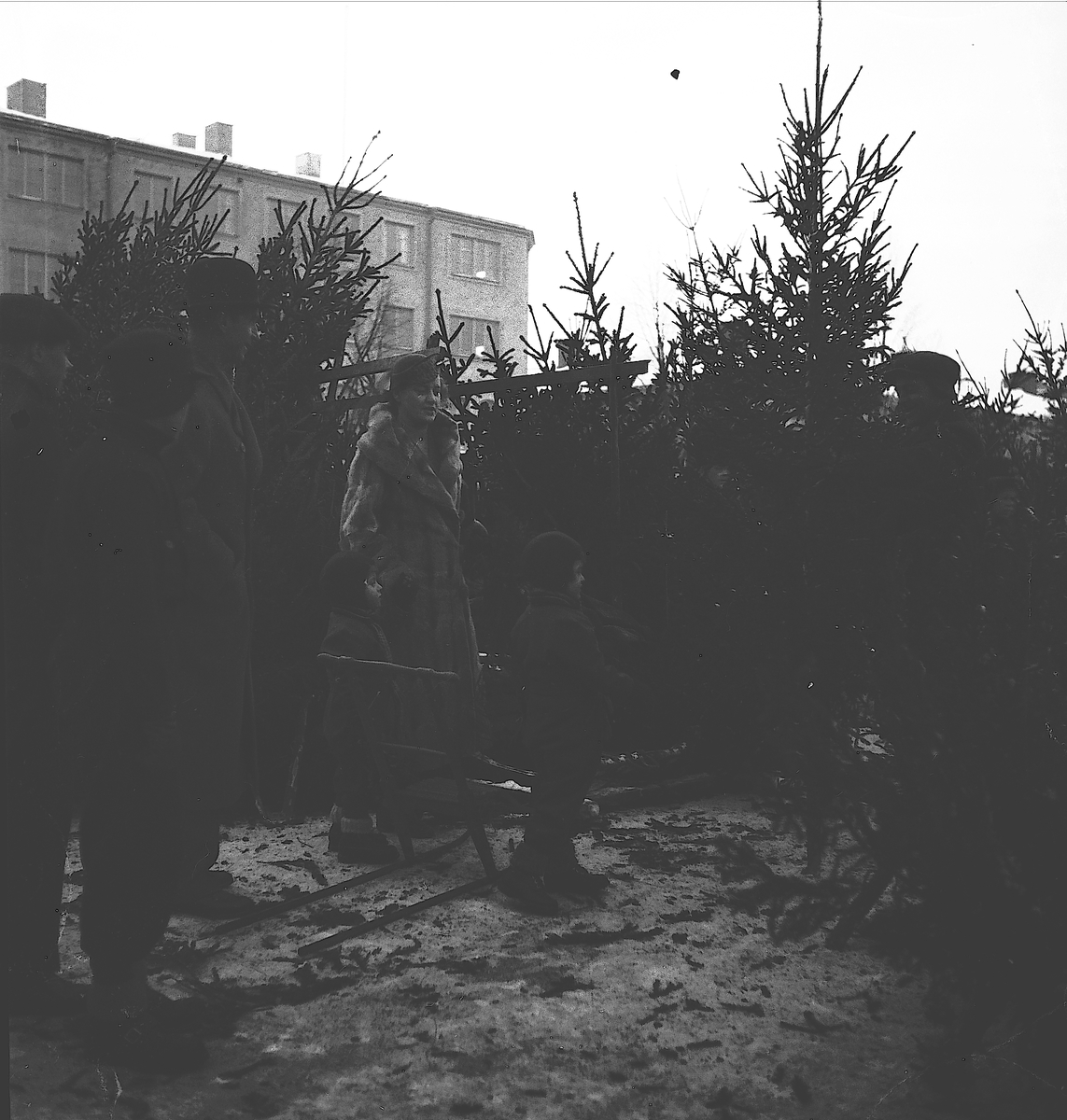 År1938. Julgransförsäljning