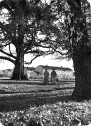 Boligbebyggels i Moss.